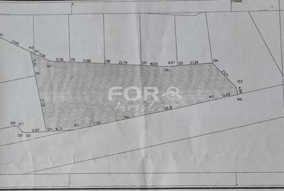 Spațiu comercial, în Oșorhei - 2