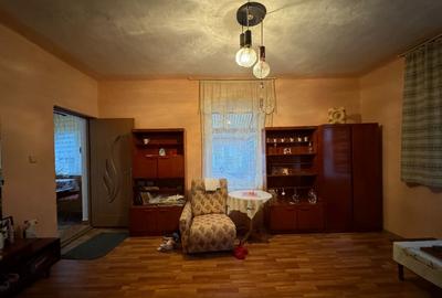 Borlesti, casa , 45 ari teren - 6