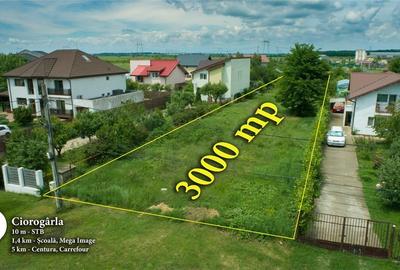 Teren Construcții intravilan de 1500 mp, în Ciorogârla - 4