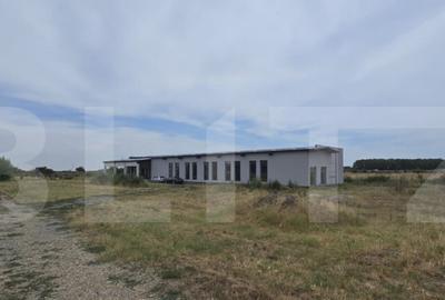 Proprietate comerciala, teren 15.923 mp, 2 hale construite, - 4