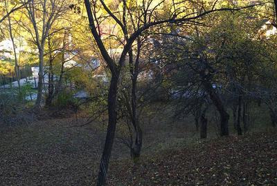 Teren de 3788 mp, în Central - 7