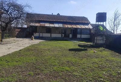 Casă cu 3 camere cu Teren 4208 Mp în Giurgița - 4