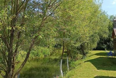 Casă cu Teren 2693 Mp în Gornea - 2