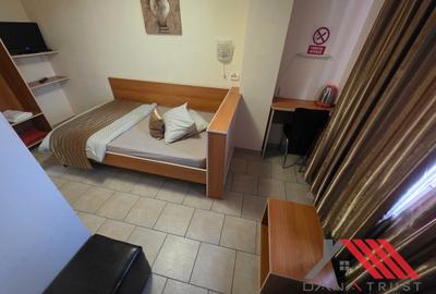 Calea Torontalului  - Pensiune / Proprietate multifuncțională de vânzare - 9