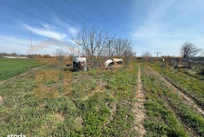 Spațiu comercial, în Valu lui Traian - 13