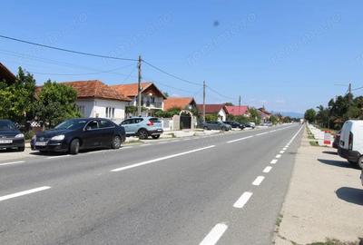 Casă cu 6 camere cu Teren 5755 Mp în Iași-Gorj - 1