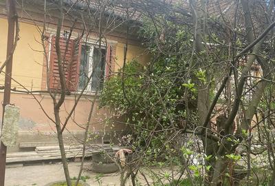 Casă în Viișoara