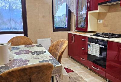 Apartament 3 camere decomandat, mobilat, bloc nou, parc Pecineaga, Sector 5