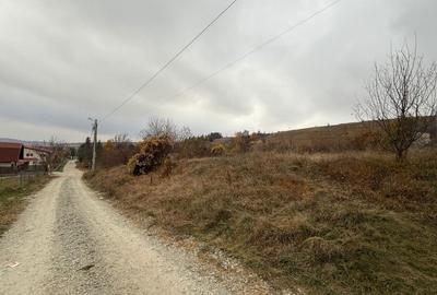 Spațiu comercial, în Ciurila - 4