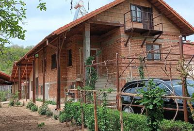 Casă cu 4 camere în Târgu Logrești - 3