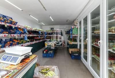 Casă individuală cu 5 camere cu Teren 256.92001342773 Mp în Trocadero - 11