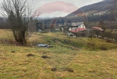 Teren Construcții intravilan de 7135 mp, în Negreni - 3