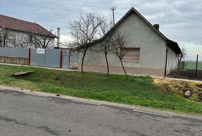 Casa de vanzare Variasu Mare- pret redus- 34.700 euro - 7