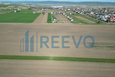 Teren de vanzare, Com. Nicolae Balcescu, Jud. Bacau - 5