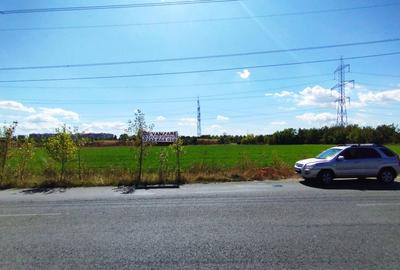 MEGA OCAZIE TEREN INTRAVILAN INDUSTRIAL 13652 MP DRUMUL LUNCA CETATII 42 E/MP - 3