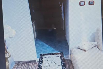 Apartament cu 4 camere decomandat în Central - 4