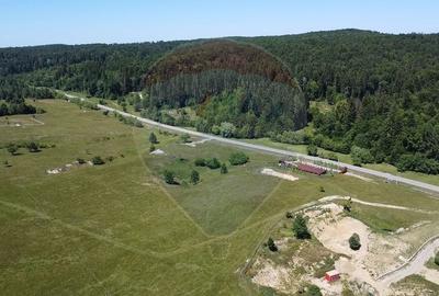 Teren agricol intravilan de 5561 mp, în Păltinoasa - 16