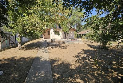 Snagov, Ciofliceni - 9