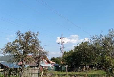 Teren de 1273 mp, în Cislău - 5