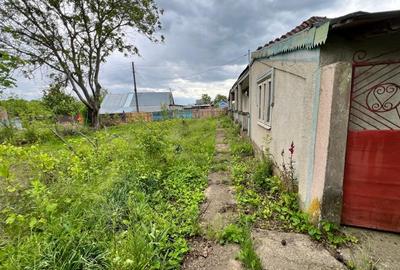 Casa + teren 4430 mp, vie si pomi fructiferi, 22 km de Tecuci - 22