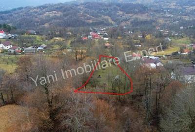 Teren de vanzare in comuna Arefu, jude? Arge?. - 16