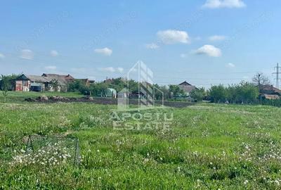 Casa individuala cu curte individuala si gradina - Zona Gai - 14