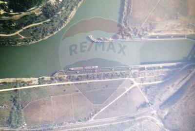 Teren agricol extravilan de 14000 mp, în Est - 3