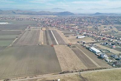 Teren Extravilan, P.U.Z. inceput - 10