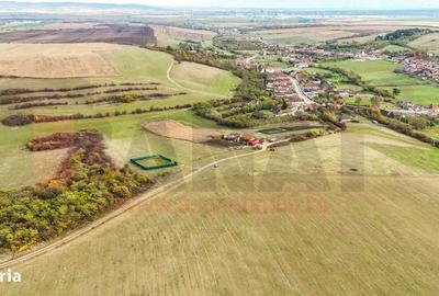 Spațiu comercial, în Rusciori - 1