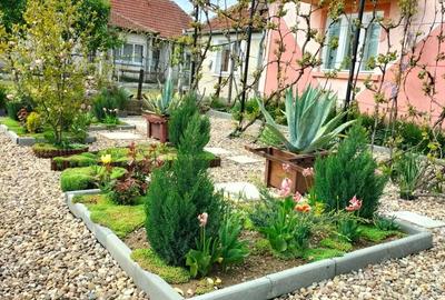 Casă cu Teren 6400 Mp în Băbășești - 9