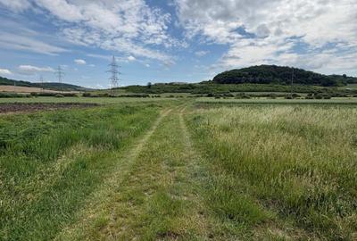 Teren Construcții intravilan de 4200 mp, în Crișeni - 4