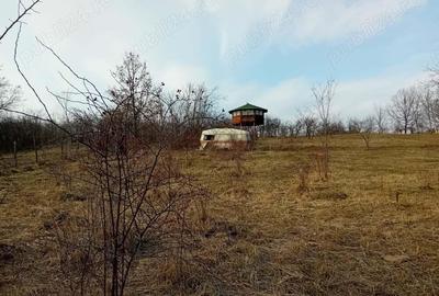 Teren - 7.132 mp zona deosebita , str Alexandru cel Bun - 3