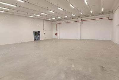 Spatiu Depozitare si Birouri | Zona Industriala Freidorf | Acces Auto/TIR - 2