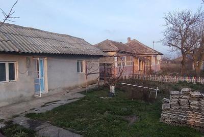 Casă cu 4 camere în Viișoara - 3