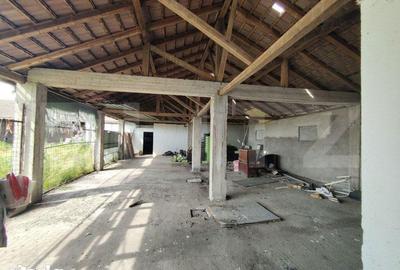 Teren de 390000 mp, în Iosefin - 8