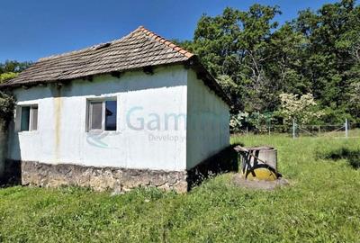 Casă cu 4 camere cu Teren 2670 Mp în Vârciorog - 3