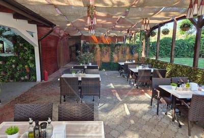 Spatiu comercial restaurant cu terasa de vanzare in  Olimp Constanta - 11