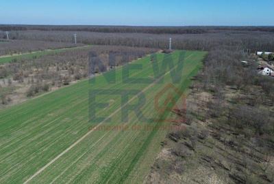 Teren de vanzare, Sabareni - 3