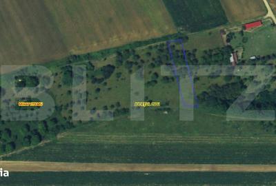 Spațiu comercial, în Cheia