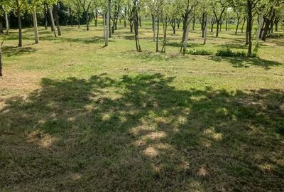 Spațiu comercial, în Crestur - 4