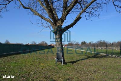 Spațiu comercial, în Biharia - 4