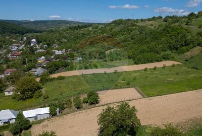 Teren 11.317 mp situat in Parava - Dragusani - Bacau - 2