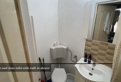 Inchiriez studio la casa nou renovat. Centru Cisnadie - 2