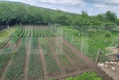 Casă cu 4 camere cu Teren 1800 Mp în Măgurele - 1