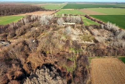 Ferma si livada de meri in judetul Ilfov - 25
