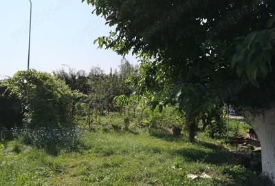 Casă cu Teren 2463 Mp în Bartolomeu - 1