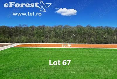 Casă cu Teren 720 Mp în Crevedia - 2