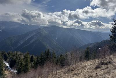 Teren de 5000 mp, în Măguri - 4