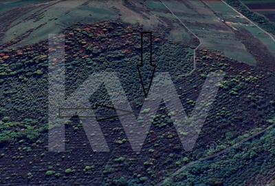 Teren Extravilan de vanzare, Hamba (Sibiu), 38.400 mp (3,84 ha), Pret competitiv - 4