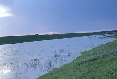 Teren de 120000 mp, în Drăgănești-Vlașca - 2